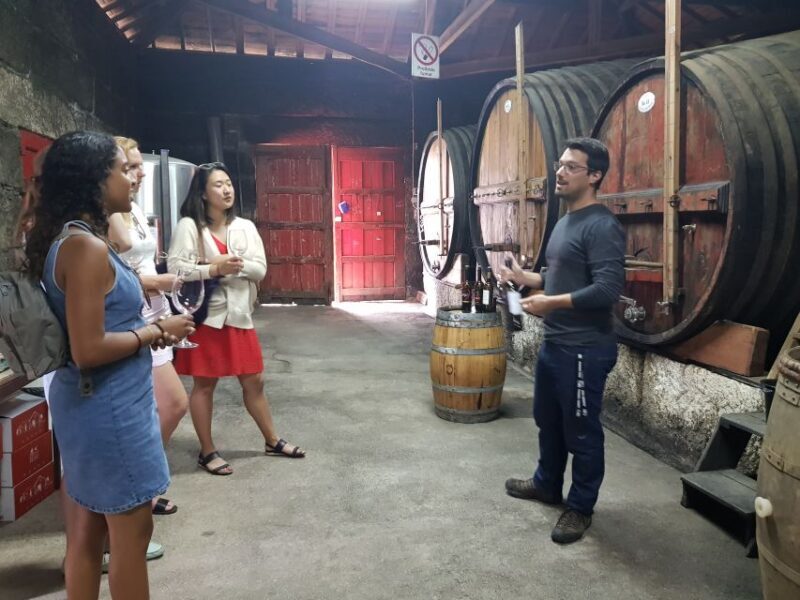 From Porto: Douro Valley 3 Vineyards Tour with Lunch - Breakdown of the Itinerary