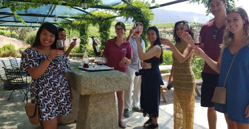 From Porto: Douro Valley 3 Vineyards Tour with Lunch - Who Should Consider This Tour?