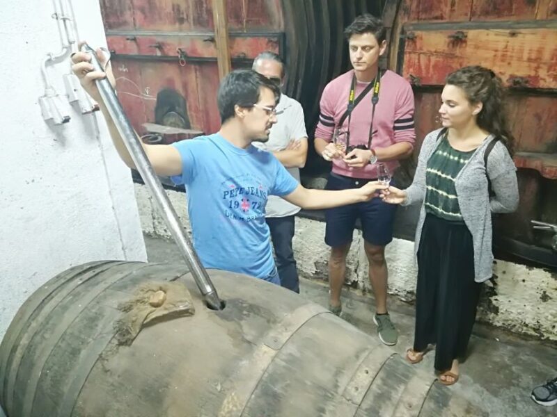 From Porto: Douro Valley 3 Vineyards Tour with Lunch - FAQs