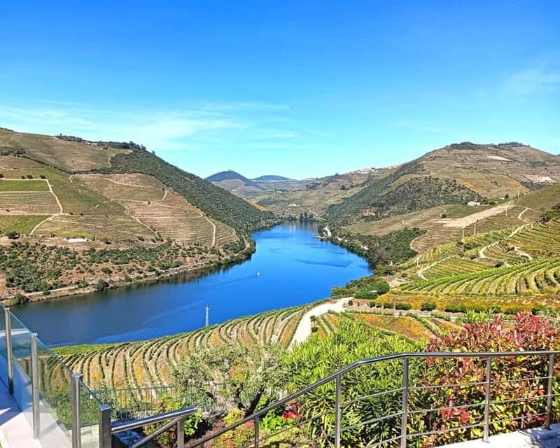 From Porto: Douro Valley Private Tour w/ 3 Wineries & Lunch - Experience the Douro Valley from Porto: A Private Tour of Wineries, Scenic Views, and Fine Flavors