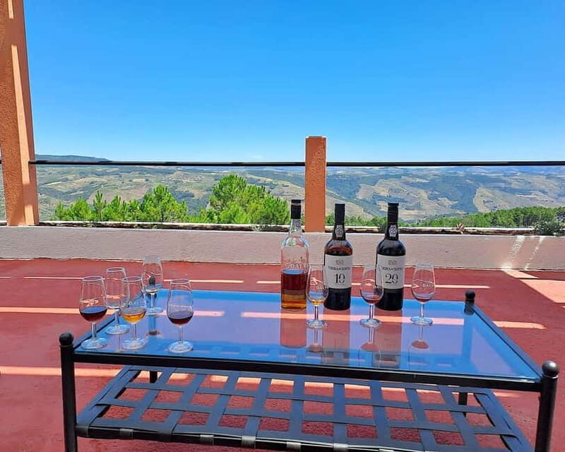From Porto: Douro Valley Private Tour w/ 3 Wineries & Lunch - Who Will Enjoy This Tour?