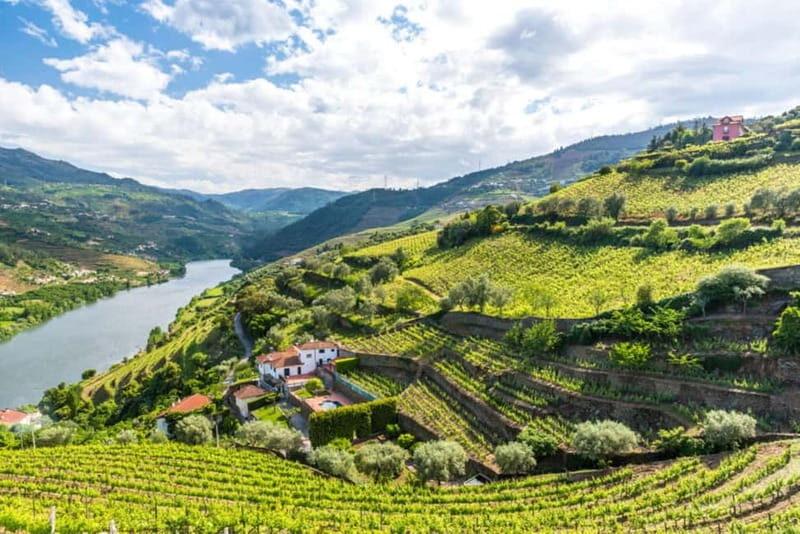 From Porto: Douro Valley Tour - FAQs