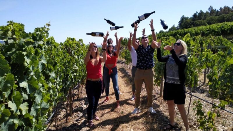 From Porto: Douro Valley Tour with Tastings, Boat & Lunch - Frequently Asked Questions