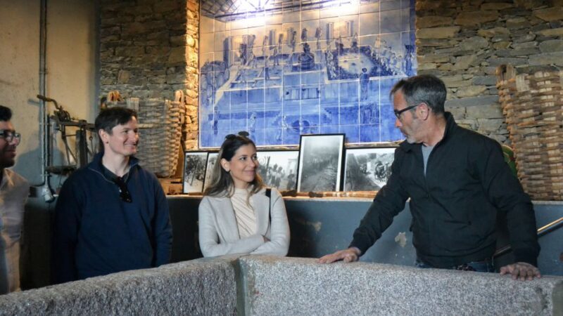 From Porto: Douro Valley Tour with Tastings, Boat & Lunch - Final Thoughts