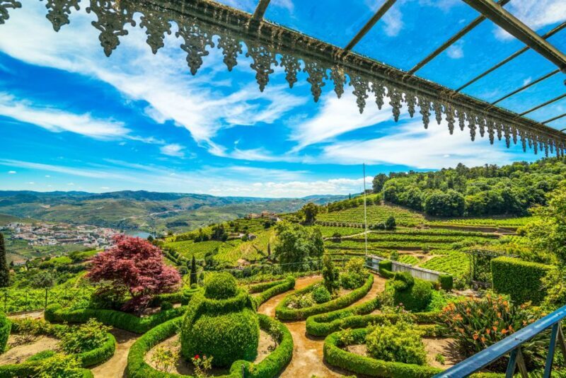 From Porto: Douro Valley w/ Boat Tour, Wine Tasting & Lunch - Potential Drawbacks or Considerations