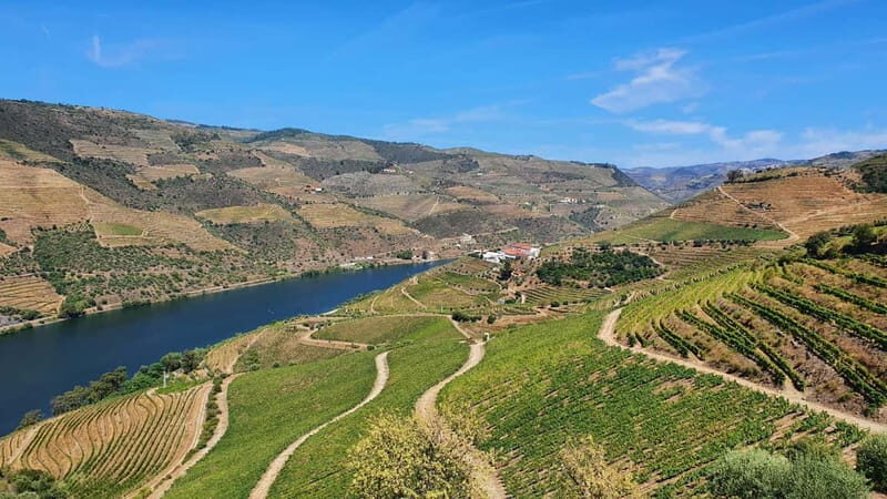 From Porto: Douro Valley Wine Tasting Tour With Hotel Pickup - Authentic Experiences That Matter