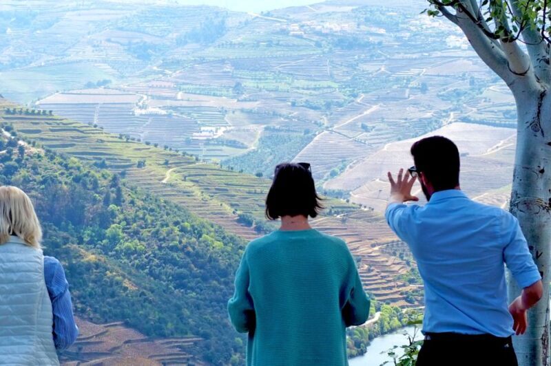 From Porto: Douro Valley Wine Tour with River Cruise & Lunch - Key Points