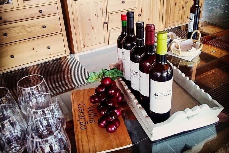 From Porto: Douro Valley with Wineries, Lunch and Boat Trip - Possible Drawbacks or Things to Consider