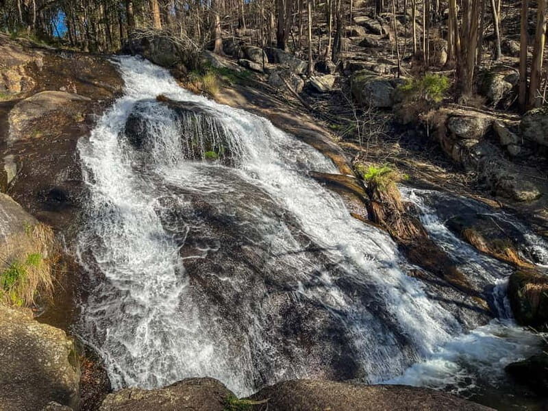 From Porto: Forest Waterfalls & Roman Ruins Trail Tour - Exploring Portos Hidden Corners: Forest Waterfalls & Roman Ruins Trail Tour