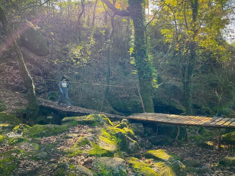 From Porto: Forest Waterfalls & Roman Ruins Trail Tour - Final Thoughts: Is It Worth It?
