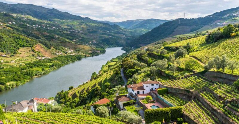 From Porto: Full-Day Douro Historical Tour - From Porto: Full-Day Douro Historical Tour – A Complete Look