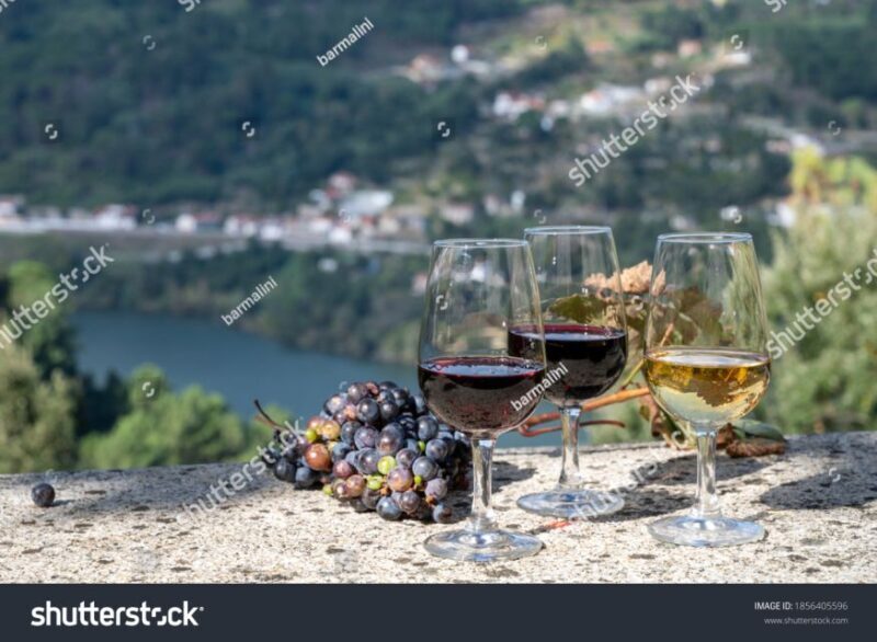 From Porto: Full-Day Douro Historical Tour - Key Points