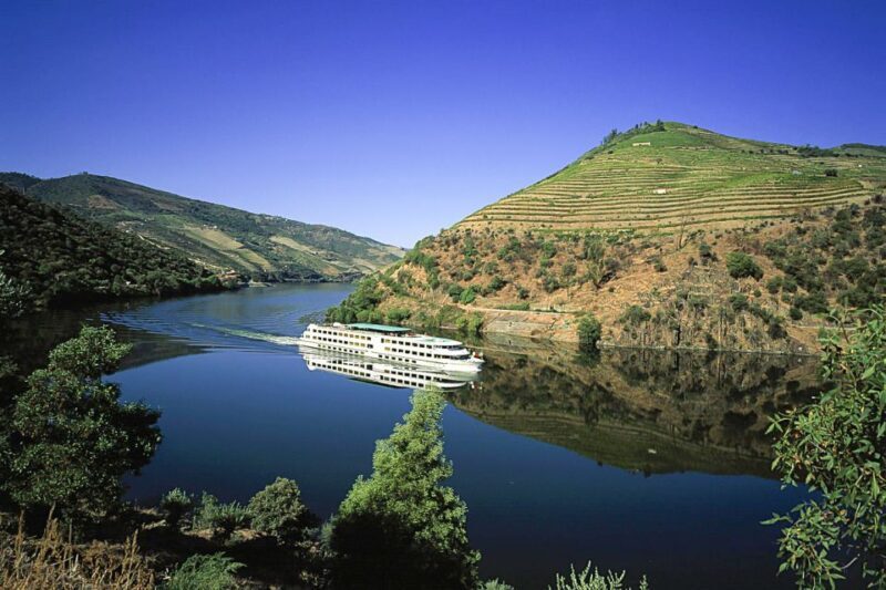 From Porto: Full-Day Douro Historical Tour - Who Will Love This Tour?