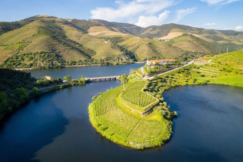 From Porto: Full-Day Douro Valley Trip - The Experience from a Traveler’s Perspective