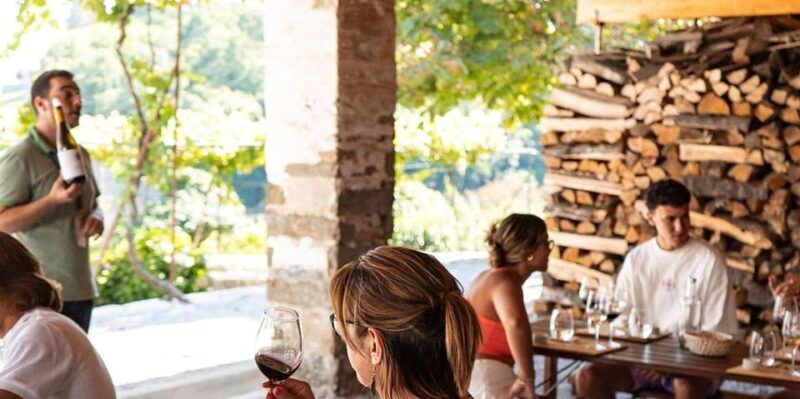From Porto: Full-Day Douro Valley Trip - Who Should Consider This Tour?