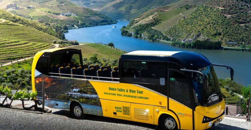 From Porto: Full-Day Douro Valley & Wine Tour with Lunch - Exploring the Douro Valley from Porto: A Full-Day Wine and Scenic Experience