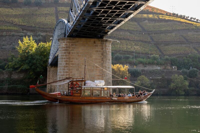 From Porto: Full-Day Douro Valley & Wine Tour with Lunch - Who Should Consider This Tour?