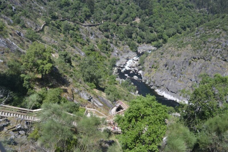 From Porto: Full-Day Paiva Walkways Tour with DOP Beef lunch - Key Points