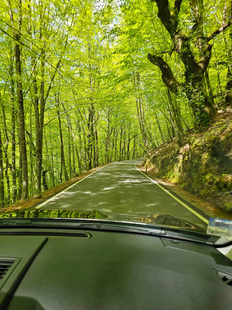 From Porto: Full-Day Tour in Gerês National Park - Key Points
