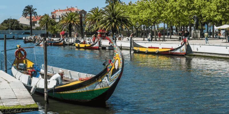From Porto: Full-Day Trip to Coimbra & Aveiro with Boat Ride - From Porto: Full-Day Trip to Coimbra & Aveiro with Boat Ride — a detailed review