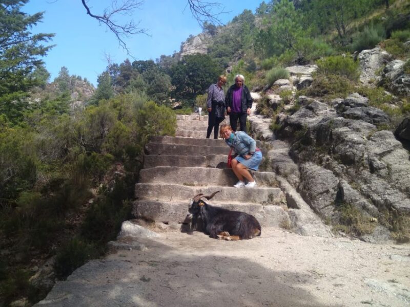 From Porto: Guided tour to Gerês Park - From Porto: Guided Tour to Gerês Park