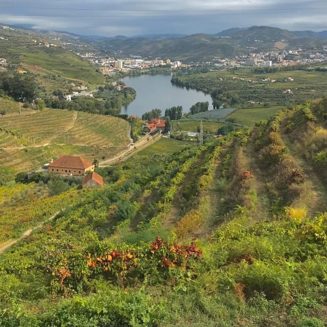 From Porto: luxury tour with full lunch at Quinta da Pacheca - A Deep Dive into the Experience