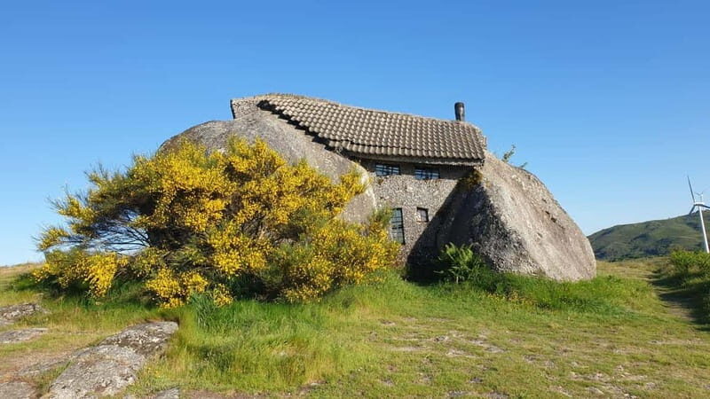 From Porto: Nature and Wine tasting Full-Day Tour - Key Points