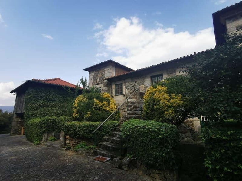 From Porto: Nature and Wine tasting Full-Day Tour - Exploring Northern Portugal’s Hidden Gems