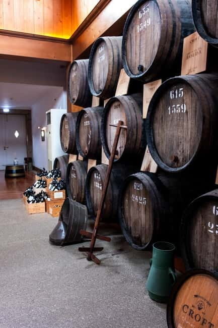 From Porto: Nature and Wine tasting Full-Day Tour - Who Should Consider This Tour?