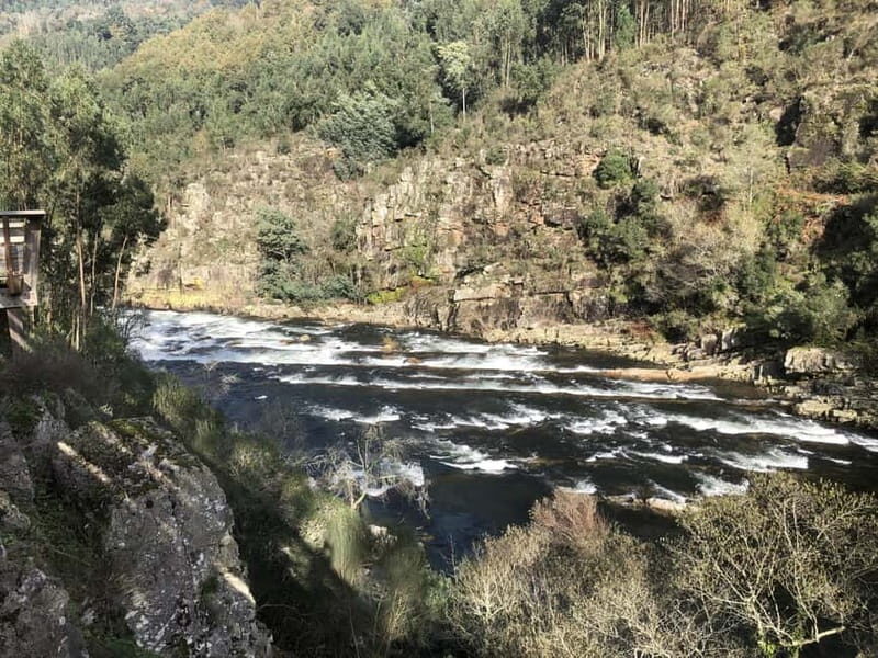 From Porto - Paiva Walkways and Suspension Bridge - FAQs