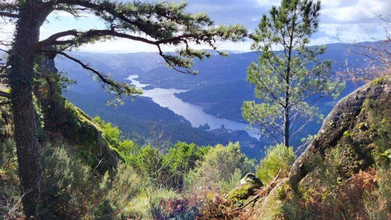 From Porto: Peneda-Gerês National Park Day Trip - Exploring a Natural Wonderland: What to Expect