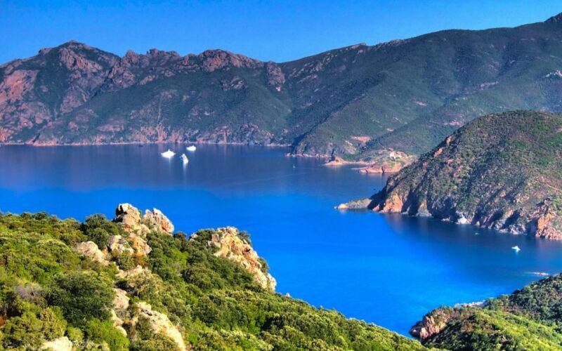 From Porto: Piana Creeks and Scandola Semi-Rigid Boat Tour - Key Points