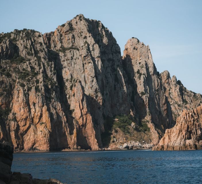From Porto: Piana Creeks, Scandola on Family Boat - Authenticity & Value