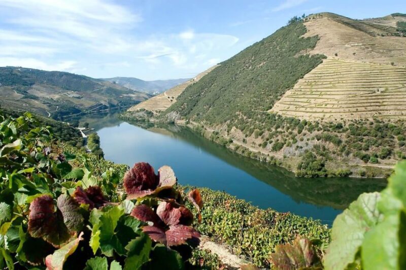 From Porto: Pinhão and Douro Valley Scenic Boat Tour - Frequently Asked Questions
