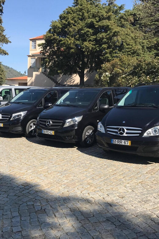 From Porto: Premium Douro Valley Small-Group Wine Tour - From Porto: Premium Douro Valley Small-Group Wine Tour