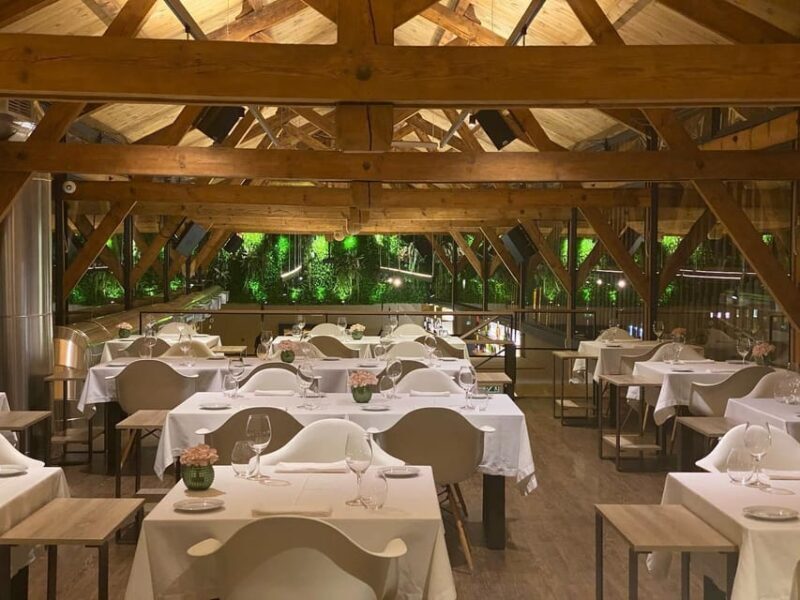 From Porto: Premium Douro Valley Small-Group Wine Tour - Who Will Appreciate This Tour?