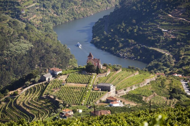 From Porto: Premium Douro Valley Small-Group Wine Tour - Frequently Asked Questions