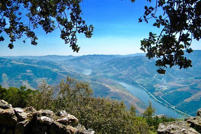From Porto: Private Douro Valley Tour - Exploring the Douro Valley: A Deep Dive