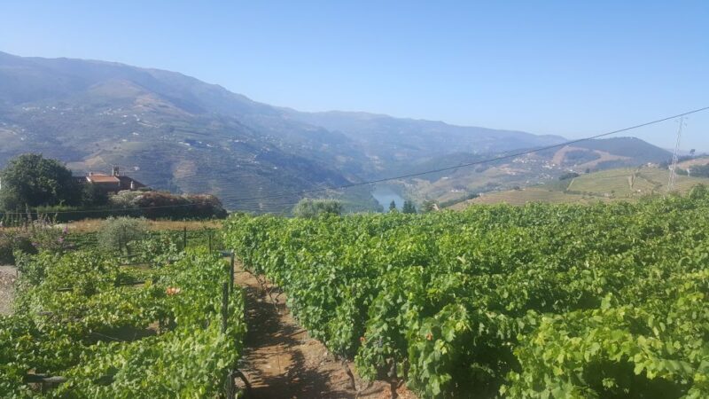 From Porto: Private Douro Valley Tour with Booking Service - Frequently Asked Questions