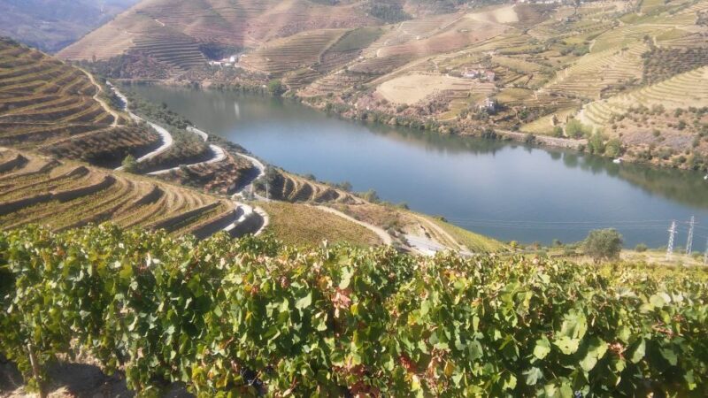 From Porto: Private Douro Valley Tour with Cruise and Wine - Cruise on the Douro River
