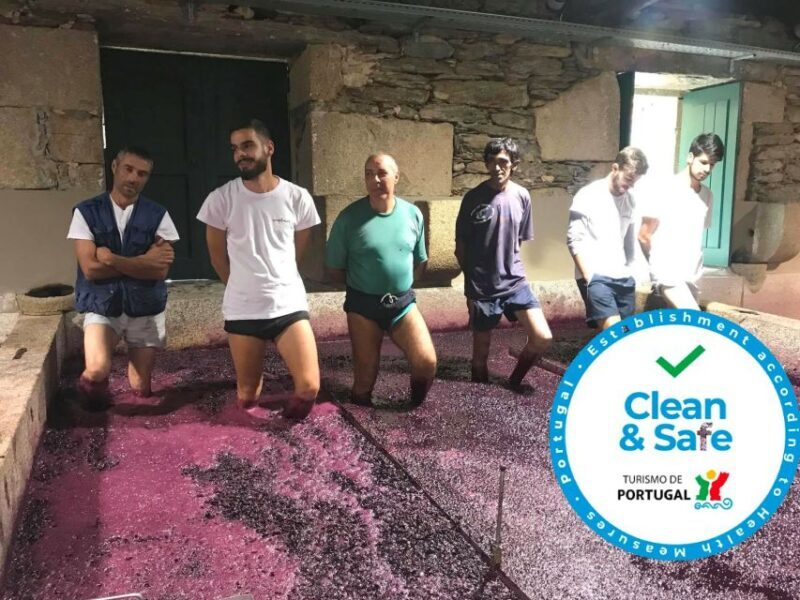 From Porto: Private Douro Valley Tour with Cruise and Wine - Lunch in a Local Restaurant
