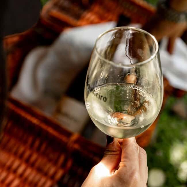 From Porto: Private Vinho Verde wine tour with tasting, lunch, and palace visit. - Discovering the Vinho Verde Region from Porto