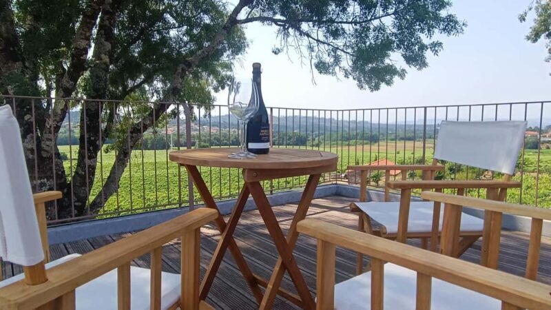 From Porto: Private Vinho Verde wine tour with tasting, lunch, and palace visit. - Final Winery Visit & Return to Porto