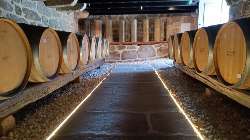 From Porto: Private Vinho Verde wine tour with tasting, lunch, and palace visit. - Analyzing the Value