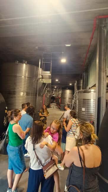 From Porto: Private Vinho Verde wine tour with tasting, lunch, and palace visit. - Who Should Consider This Tour?