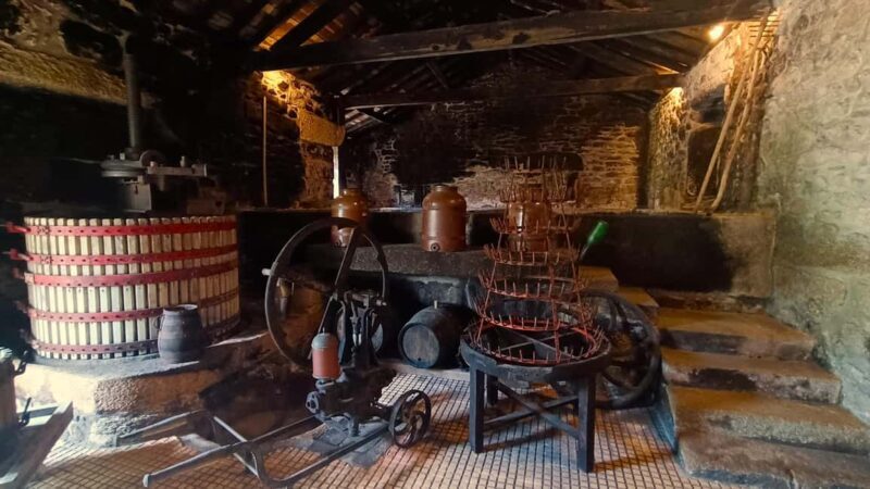 From Porto: Private Vinho Verde wine tour with tasting, lunch, and palace visit. - The Sum Up