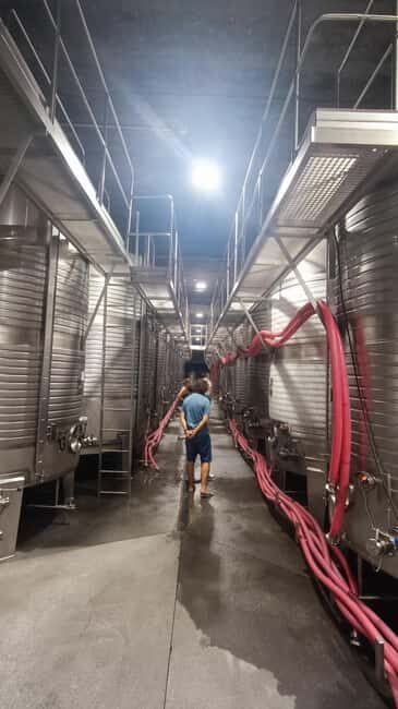 From Porto: Private Vinho Verde wine tour with tasting, lunch, and palace visit. - FAQs