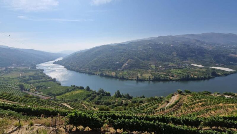 From Porto Private Wine Tour with 2 Tastings, Boat and Lunch - Final Thoughts on Value and Experience