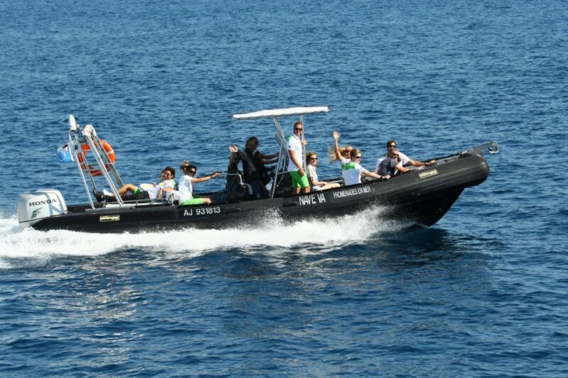 From Porto: Scandola and Calanche de Piana Boat Tour - Key Points