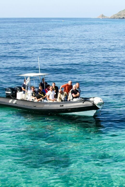 From Porto: Scandola and Calanche de Piana Boat Tour - A Thorough Look at the Experience